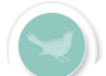 green bird